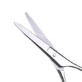 Cepillo de barba Gaira 40701-16