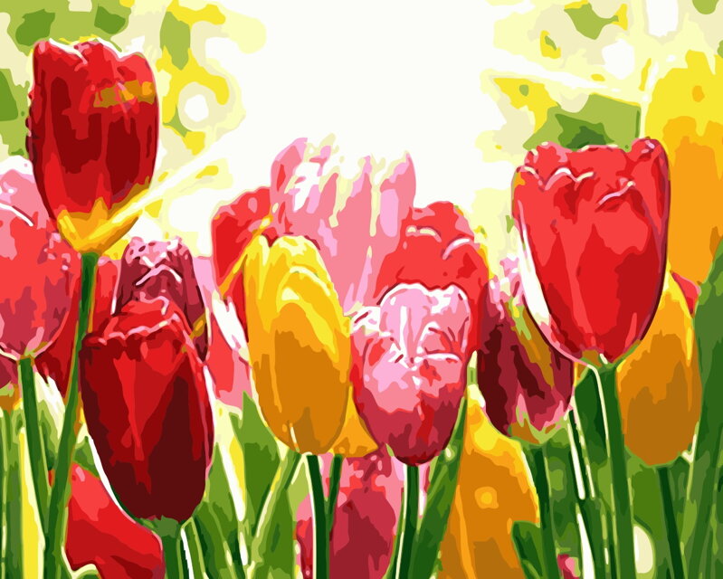 Malování podle čísel Tulipány M312 Malování podle čísel Tulipány M312